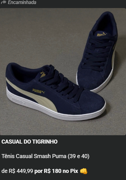 Tênis de Performance